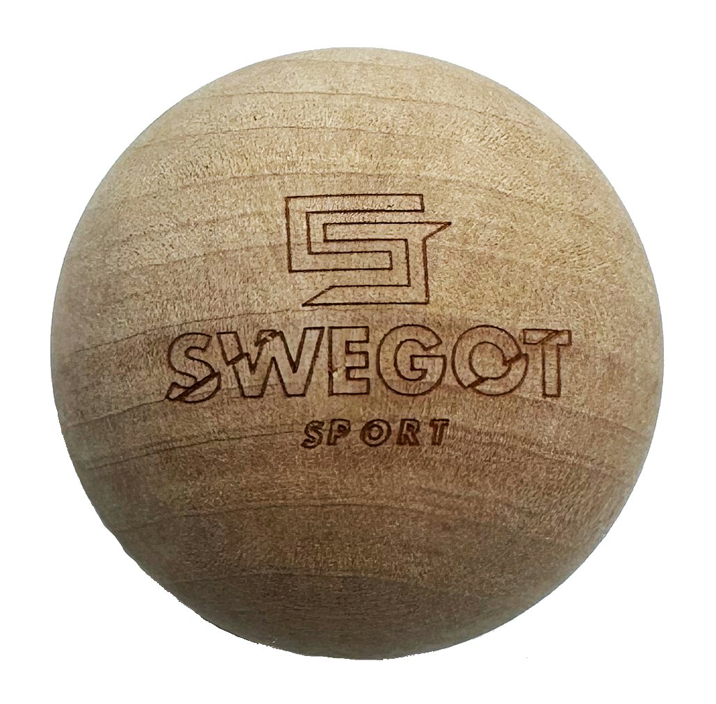 Swegot teknikkula hockey