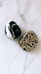 Dalmatiner Jaspis, trumlad