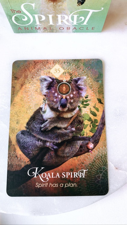 The Spirit Animal Oracle, orakelkort