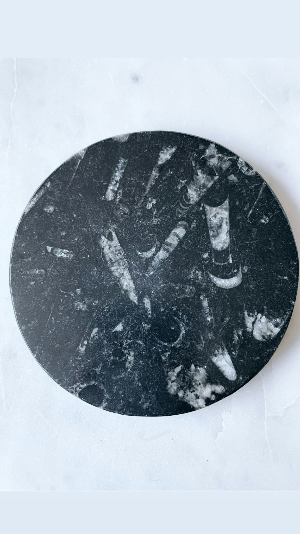 Fossil i marmorerad sten, platta - Butik Kalcit