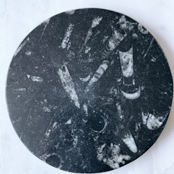 Fossil i marmorerad sten, platta
