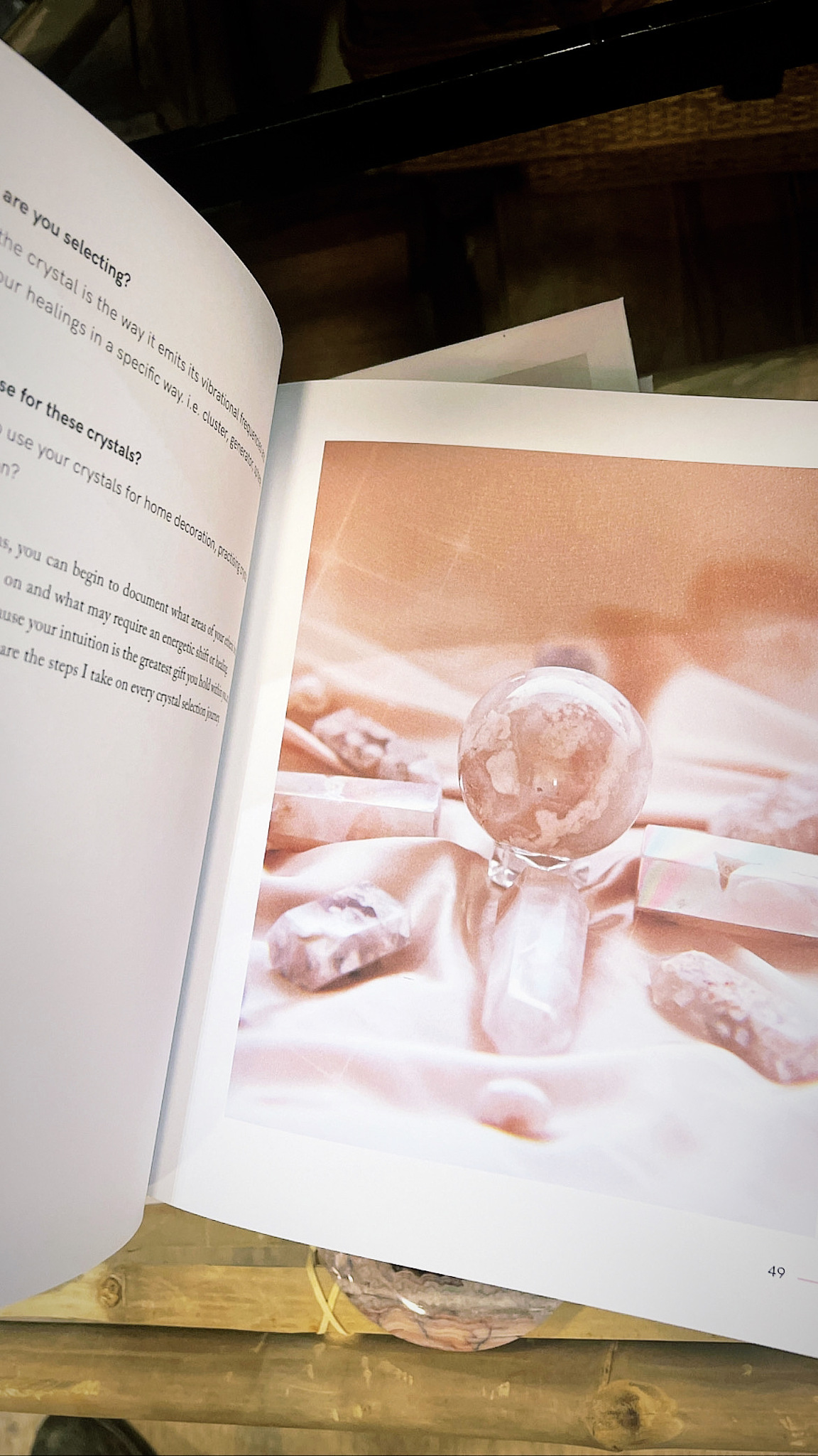 Crystal Rituals by the Moon av Leah Shoman