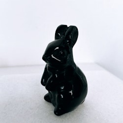 Obsidian Svart, kanin