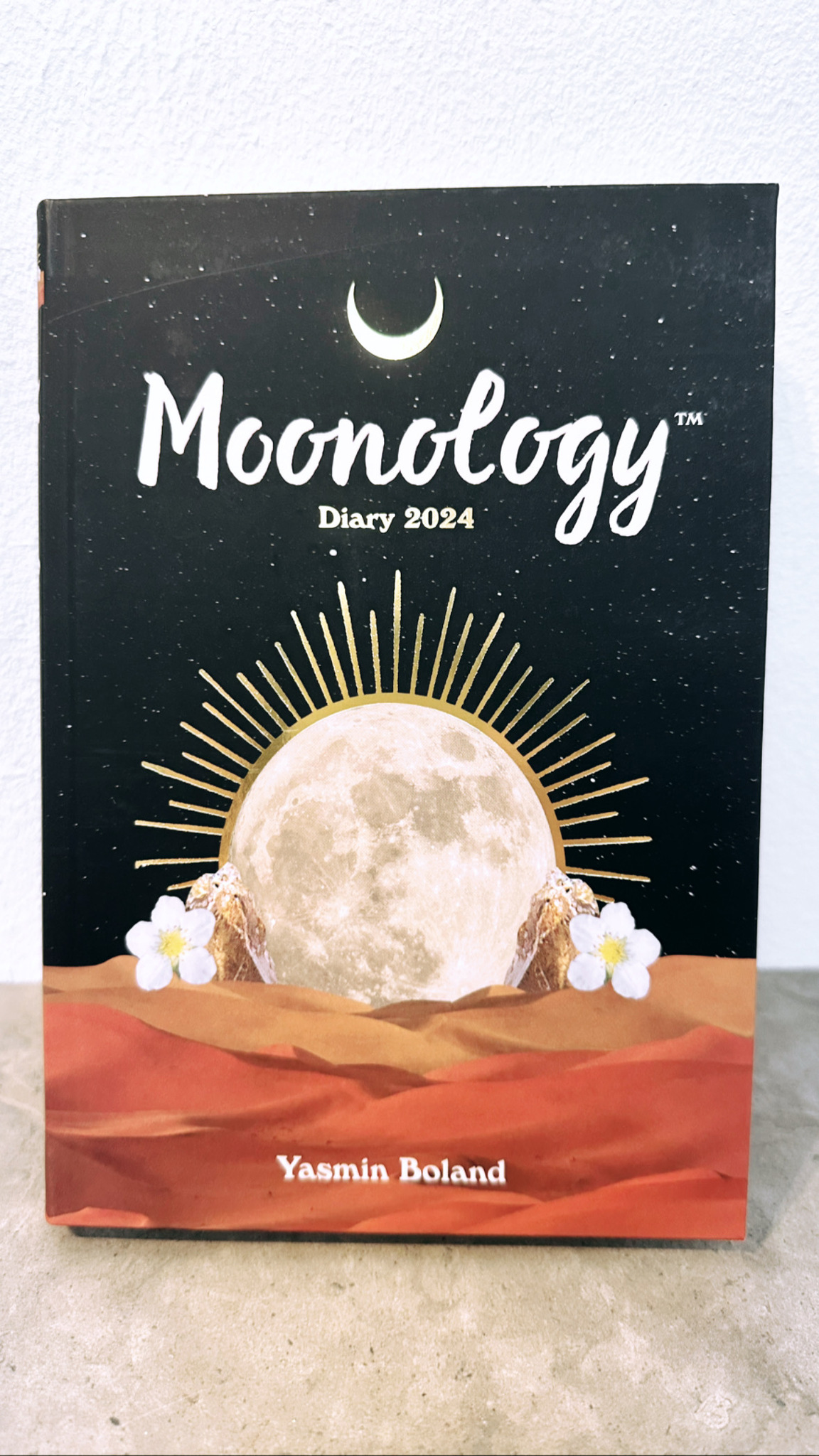 Moonology, Diary 2024