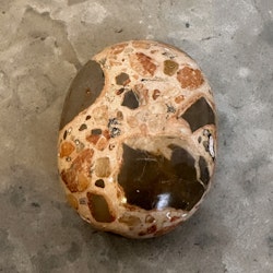 Leopard Jaspis, palmstone (A)