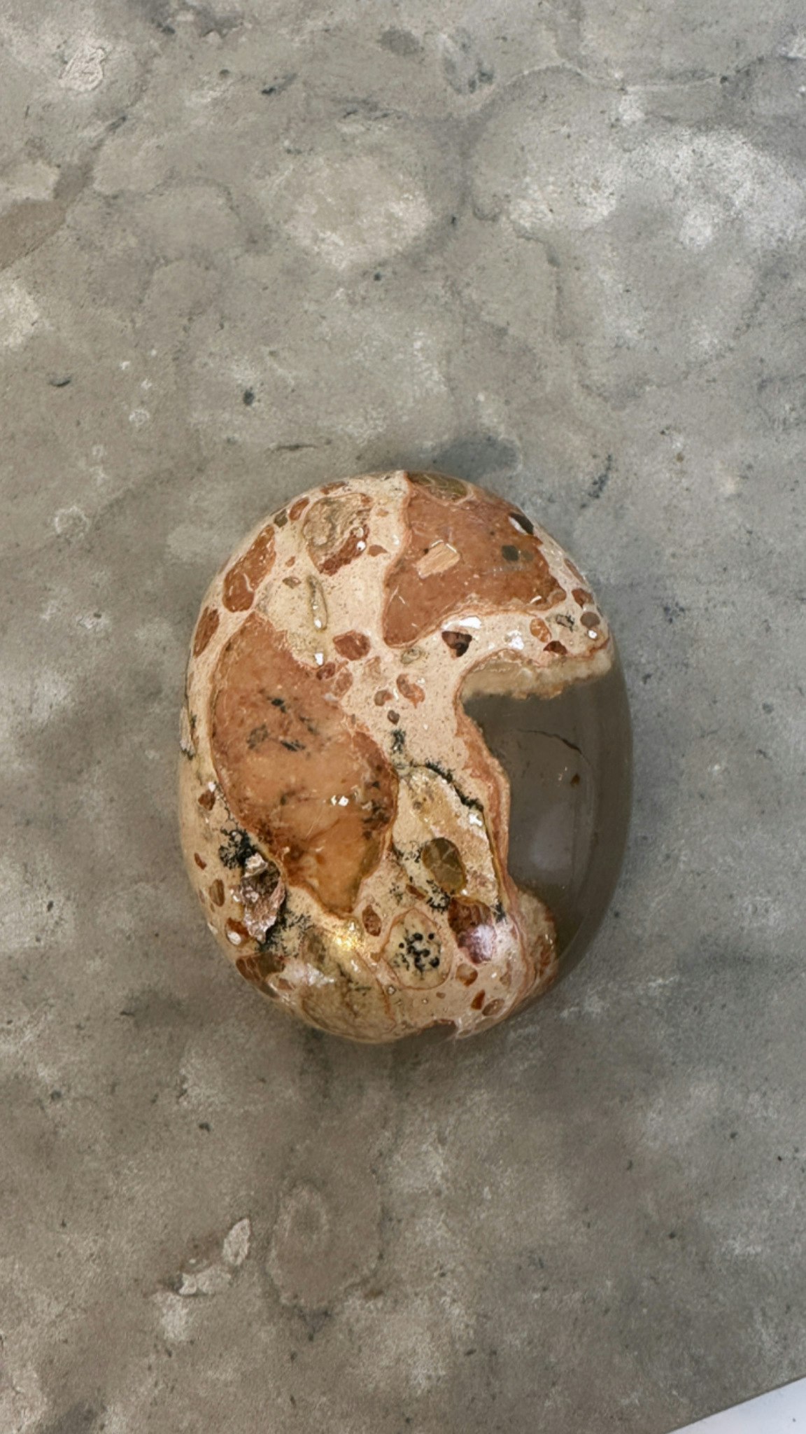 Leopard Jaspis, palmstone E