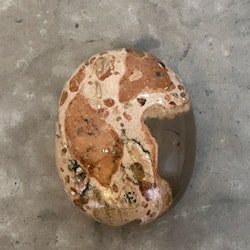 Leopard Jaspis, palmstone E