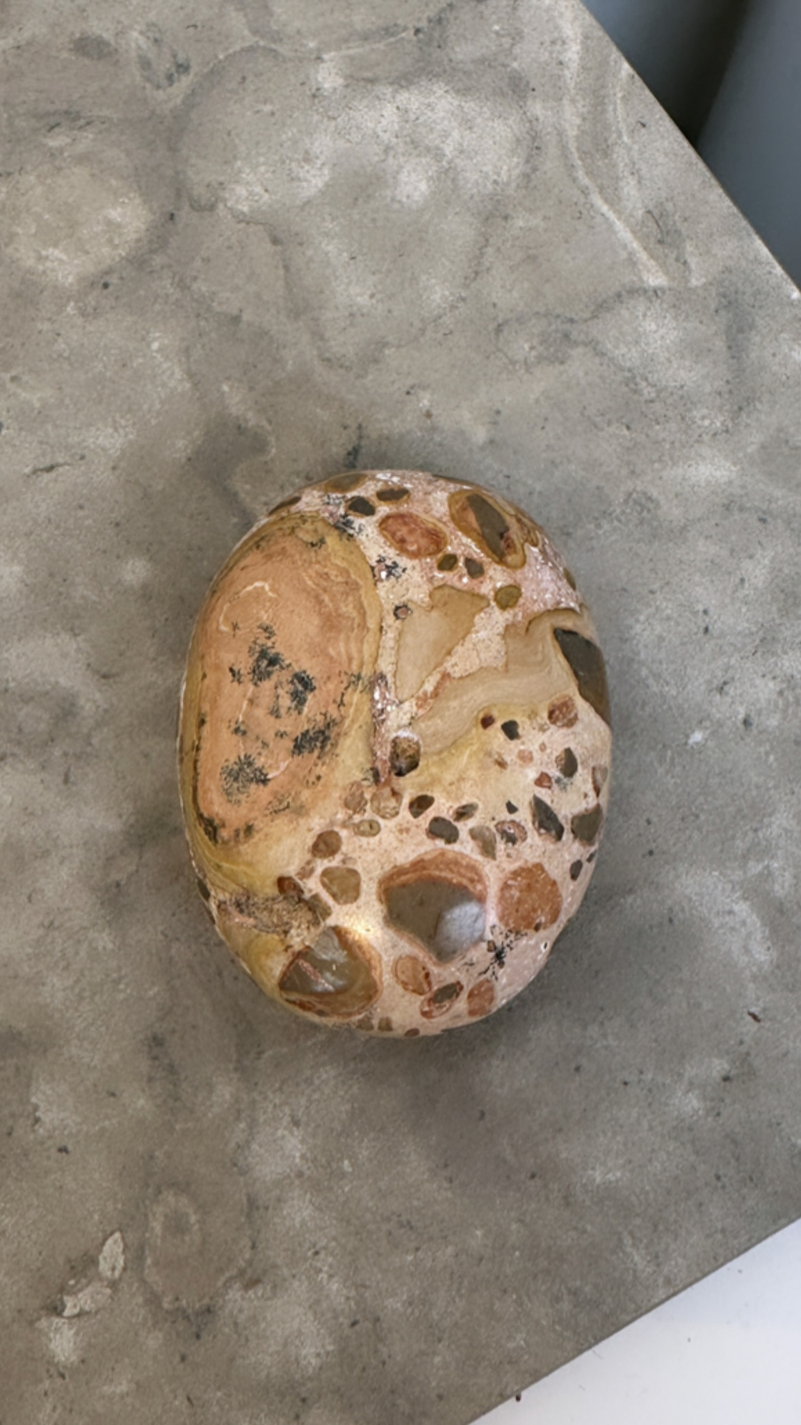 Leopard Jaspis, palmstone (D)