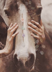 Miracle, poster 50x70 cm