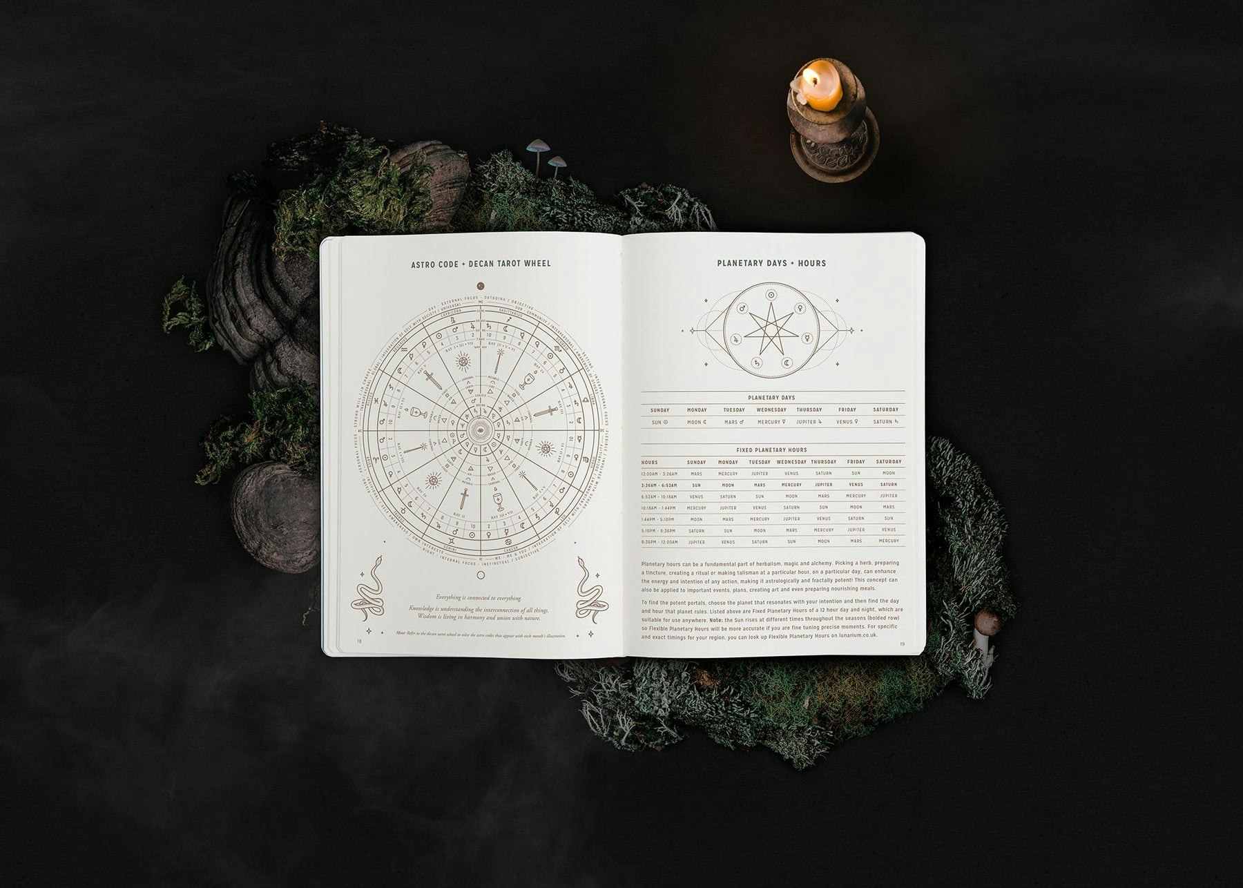 Magic of I Astrological Planner 2024