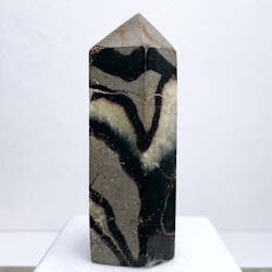 Septarian / Drakägg, torn (B)