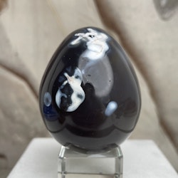 Späckhuggar agat/ Orca Agat, ägg