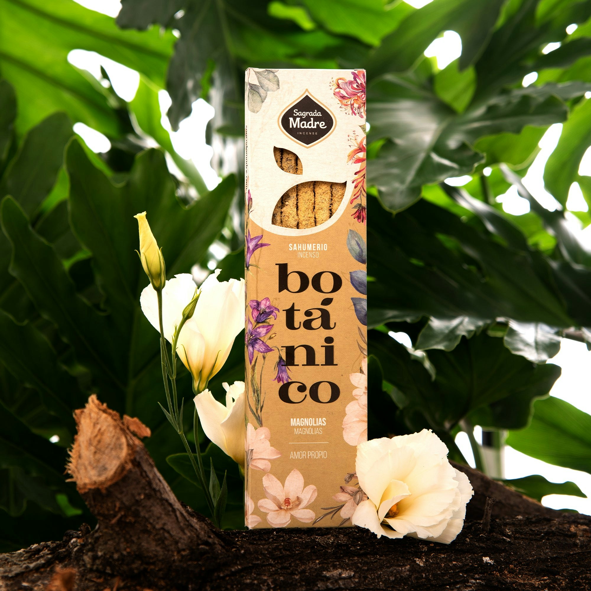 Botánico Magnolia rökelsepinne, Sagrada Madre