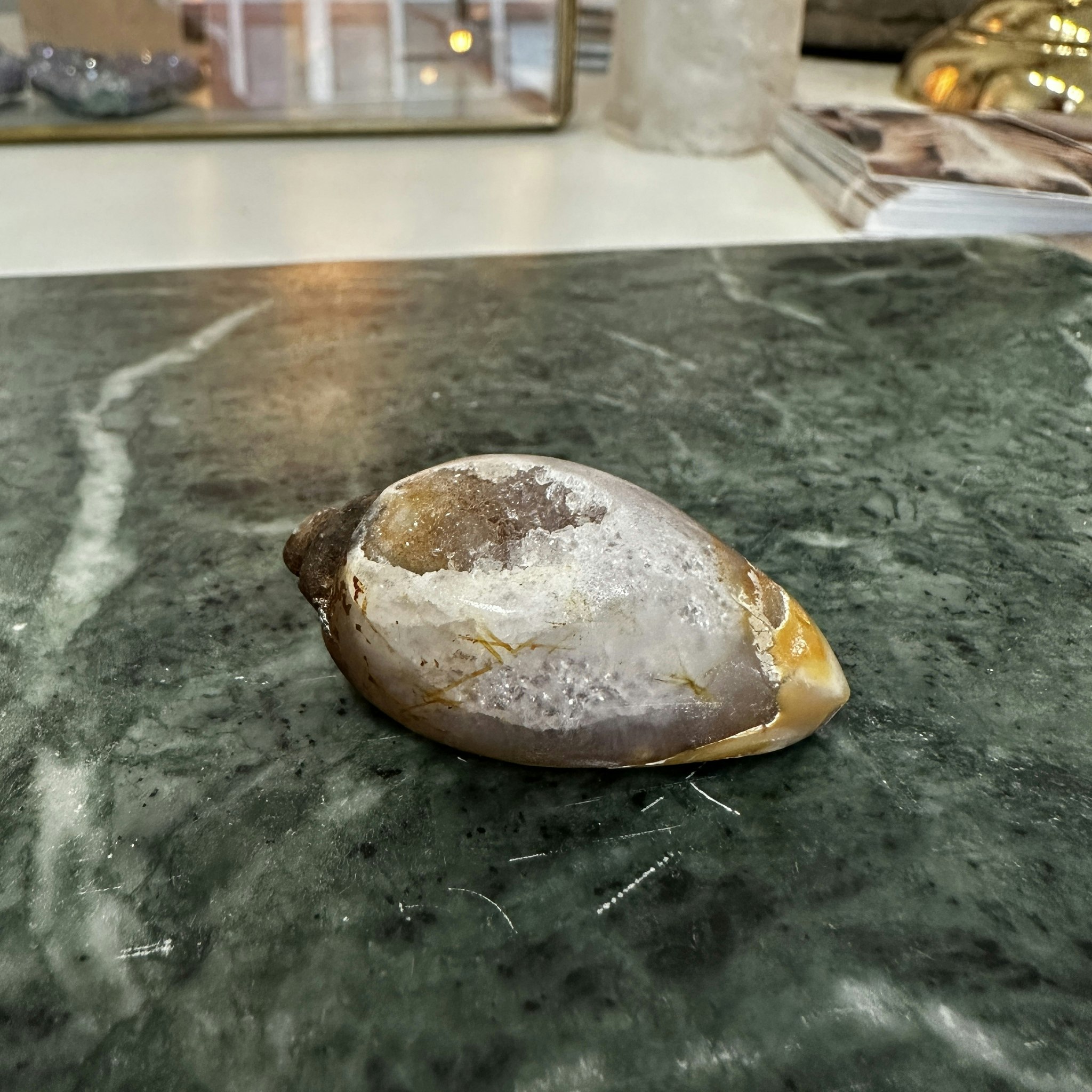 Fossilerad snäcka