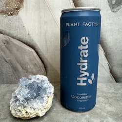 Hydrate kolsyrat kokosvatten Original 330ml, Plant Factory