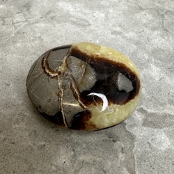 Septarian / Drakägg, palmstone (H1)