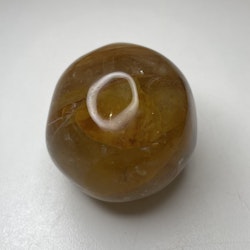 Golden healer, palmstone (B)