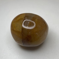 Golden healer, palmstone (B)