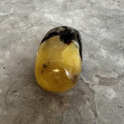 Septarian / Drakägg, palmstone (K)