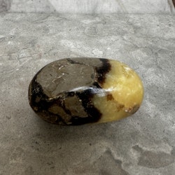 Septarian / Drakägg, palmstone (K)