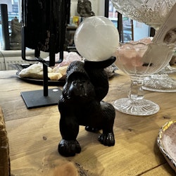 Klotställ, gorilla