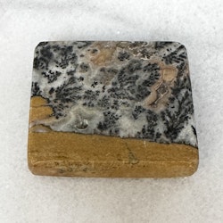 Dendrit, platta (B)