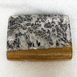Dendrit, platta (A)