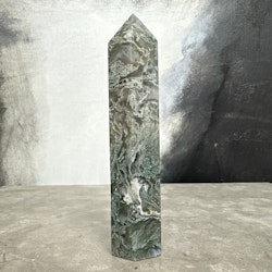 Mossagat, torn (D)