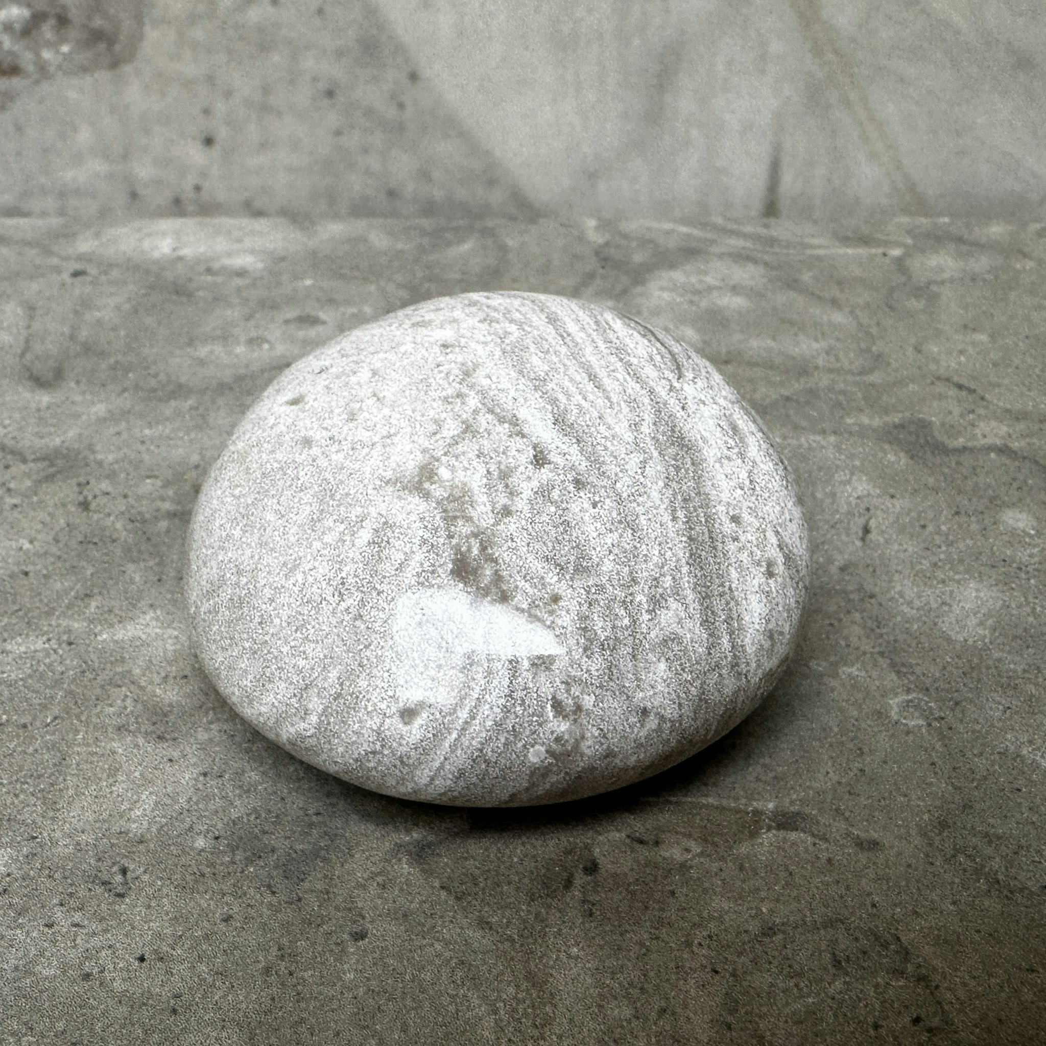 Ocean Jaspis, palmstone (G)