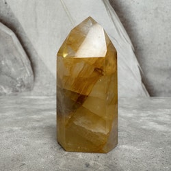Golden healer, torn (B)