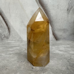 Golden healer, torn (B)