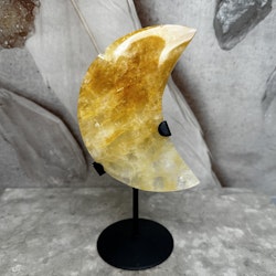 Golden healer, måne på ställning (D)