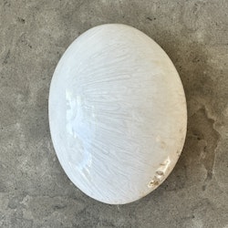 Skolecit, palmstone (B)