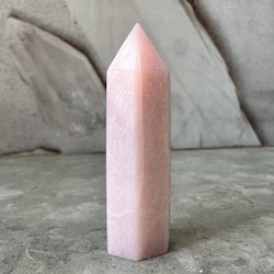 Rosa Opal, torn (A)