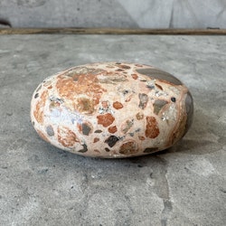 Leopard Jaspis, palmstone (D)