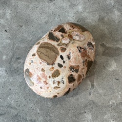 Leopard Jaspis, palmstone (C)