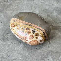 Leopard Jaspis, palmstone (B)