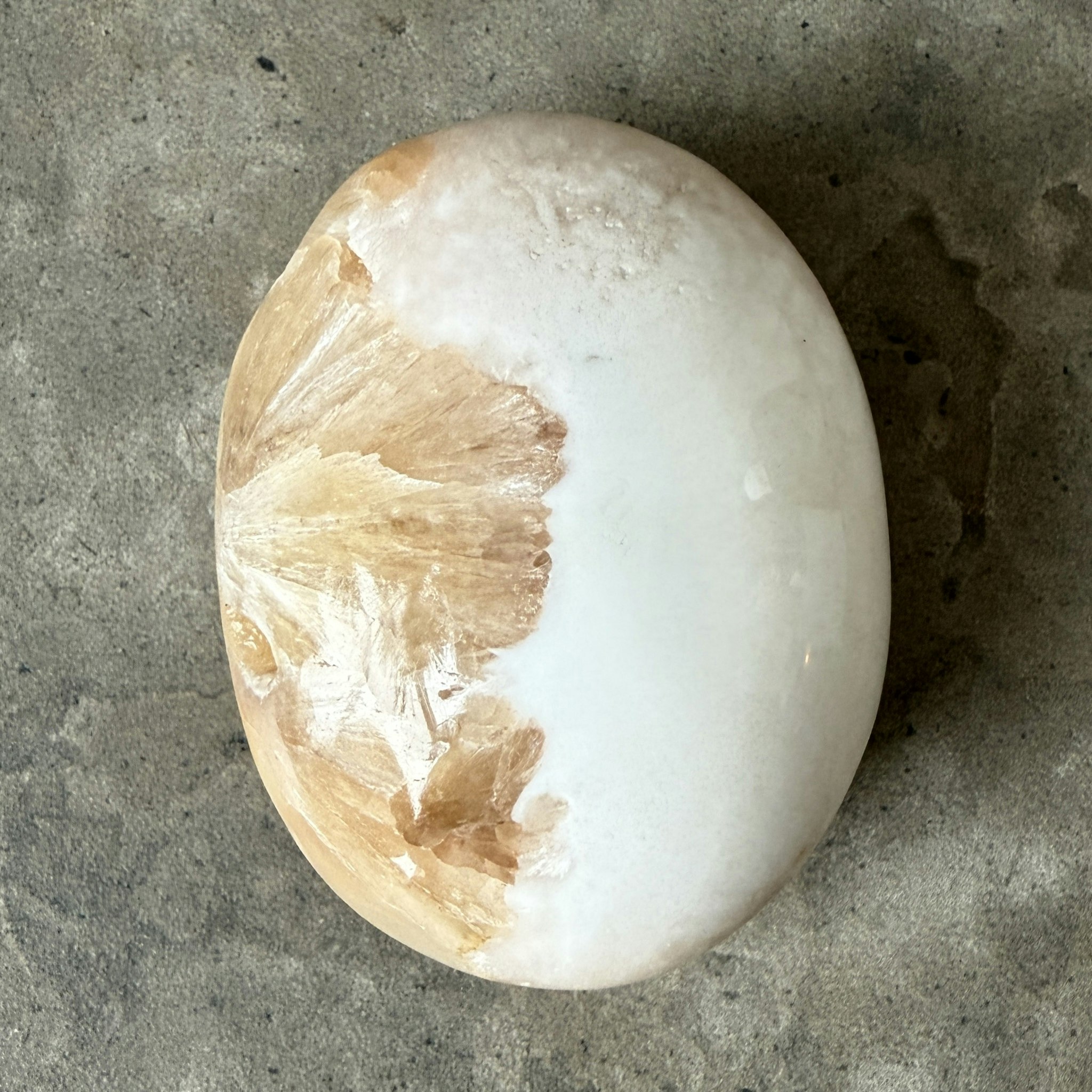 Skolecit med stilbit, palmstone (H)