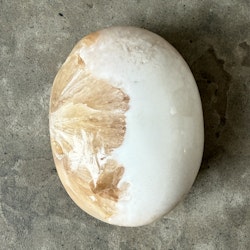 Skolecit med stilbit, palmstone (H)