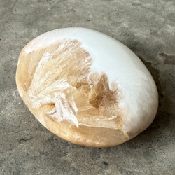 Skolecit med stilbit, palmstone (H)