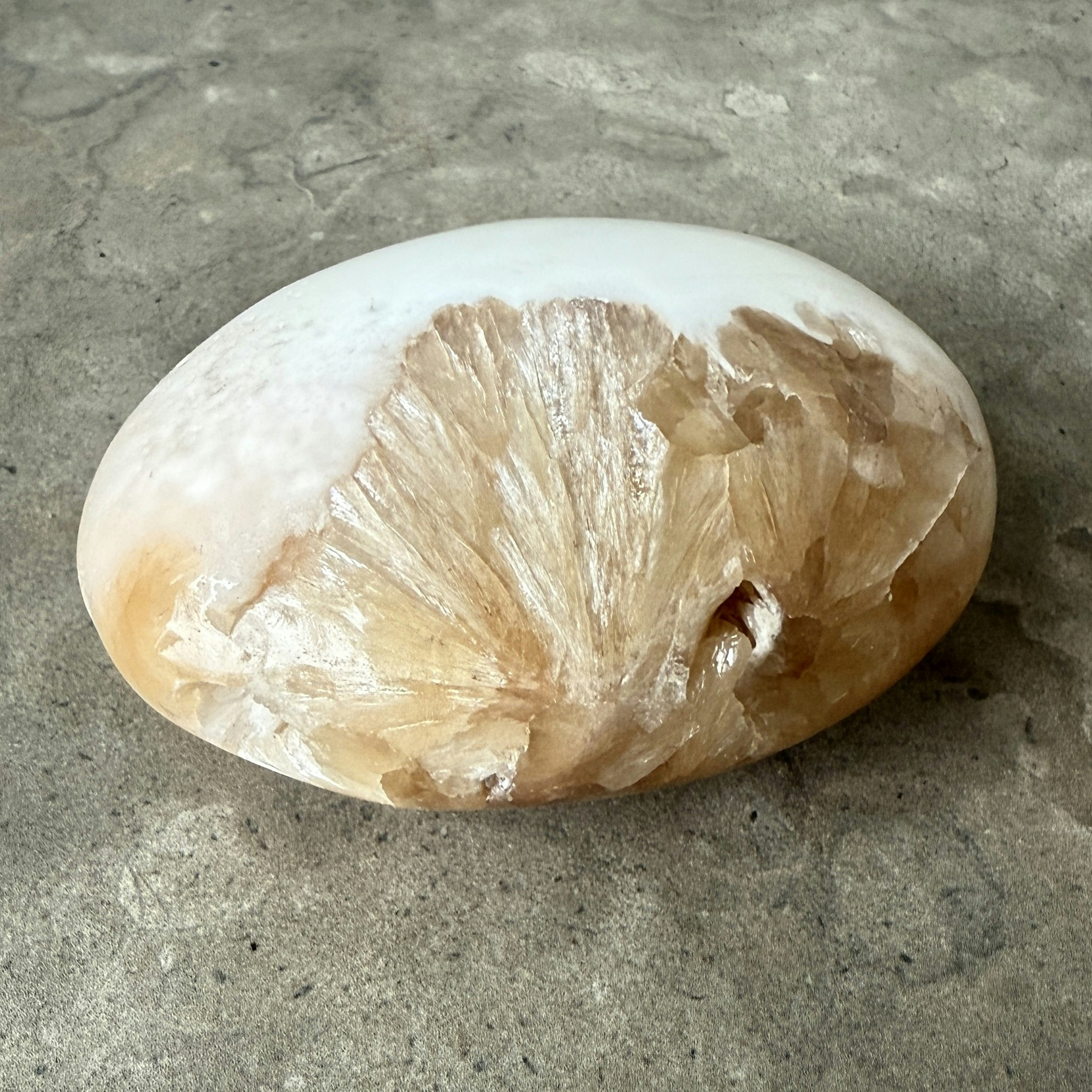 Skolecit med stilbit, palmstone (H)