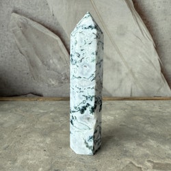 Mossagat, torn (E)