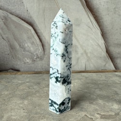 Mossagat, torn (E)