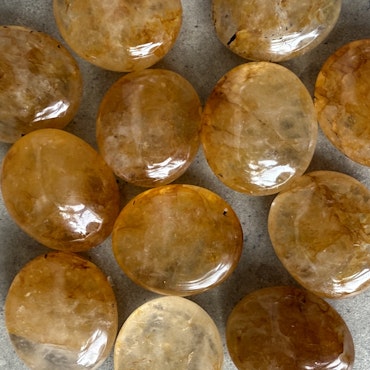 Golden healer, trumlad / mini palmstone