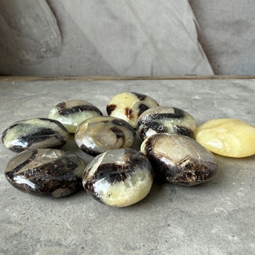 Septarian / Drakägg, trumlad / mini palmstone