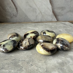 Septarian / Drakägg, trumlad / mini palmstone