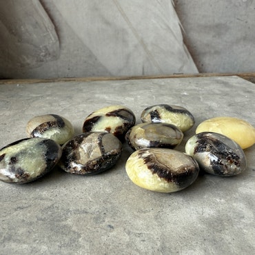 Septarian / Drakägg, trumlad / mini palmstone