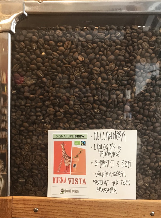 Buena Vista