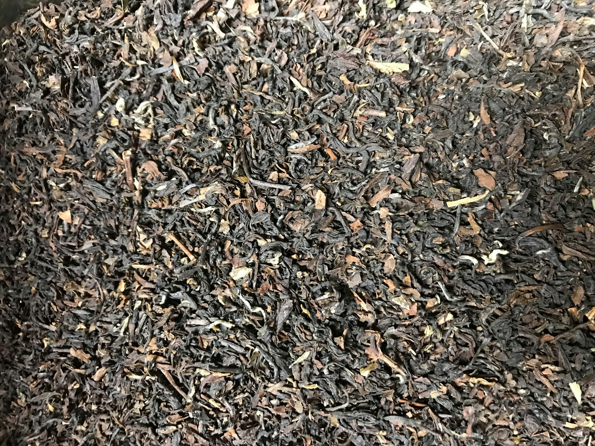 Darjeeling Fop