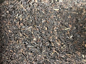 Darjeeling Fop